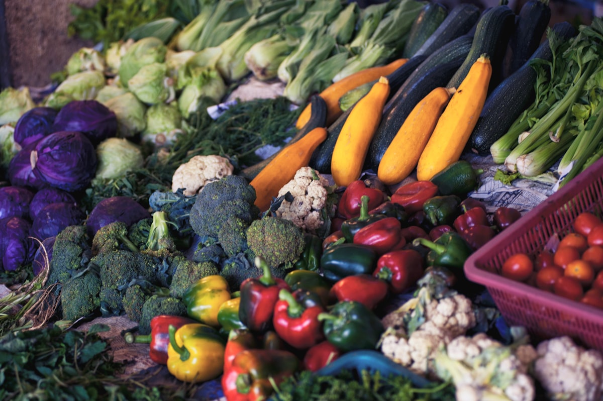 Guía Integral: Nutrición Holística
